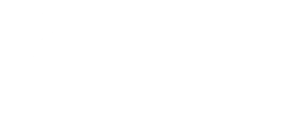 Neicha Logo